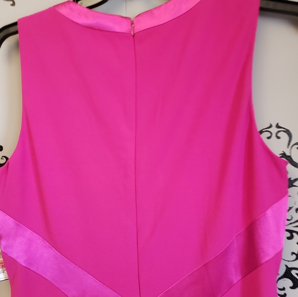 Jessica Howard fuchsia pink sleeveless sheath Dress Size 14 - Picture 5 of 6